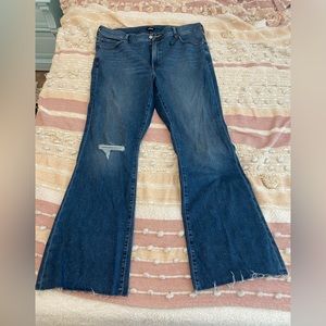Express Flare Jeans